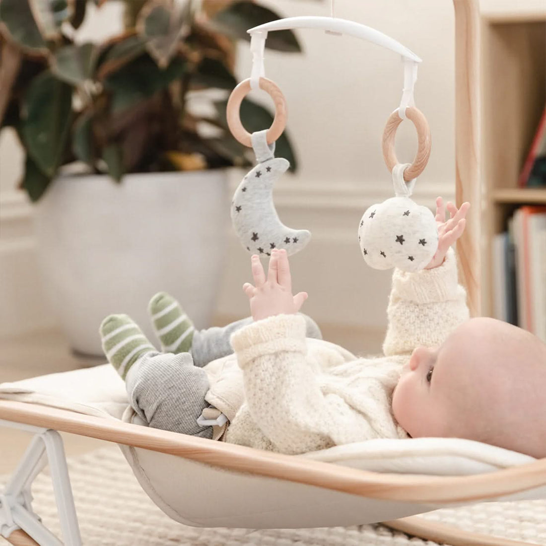 Newborn