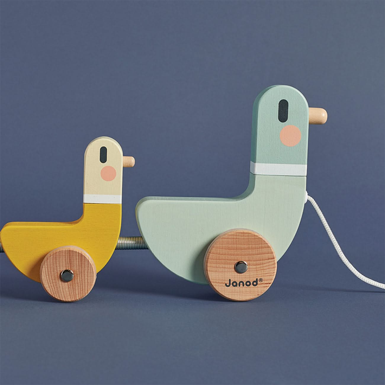 Cocoon Pull along Duck Family