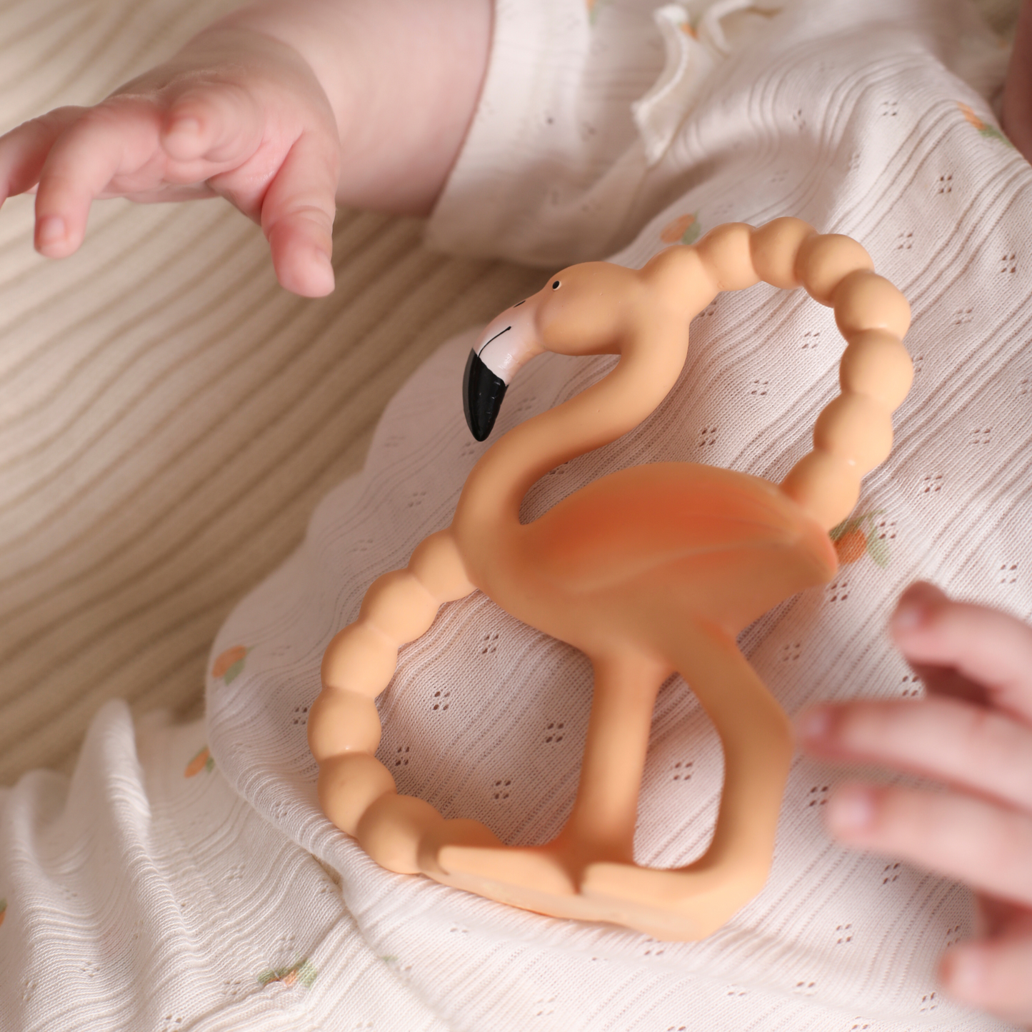 Lingo the Flamingo - Mini