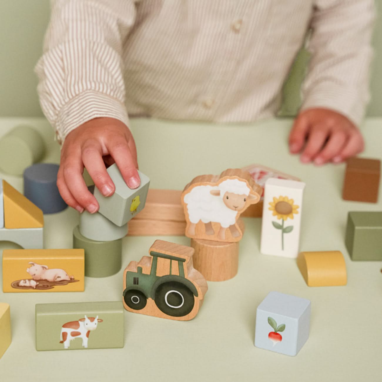 Little Farm Building Blocks