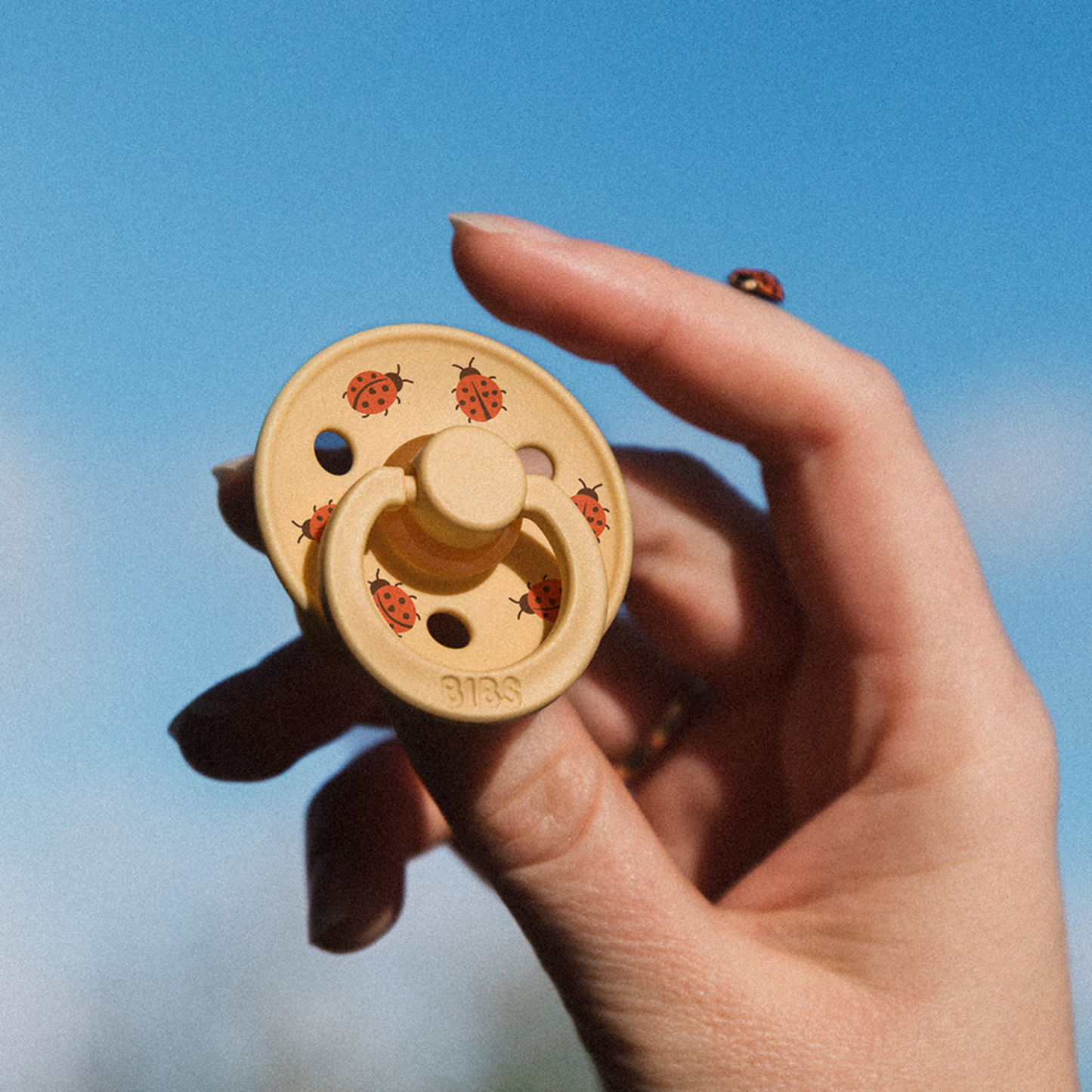 Round Dummy Duo - Ladybug/Blush Mix