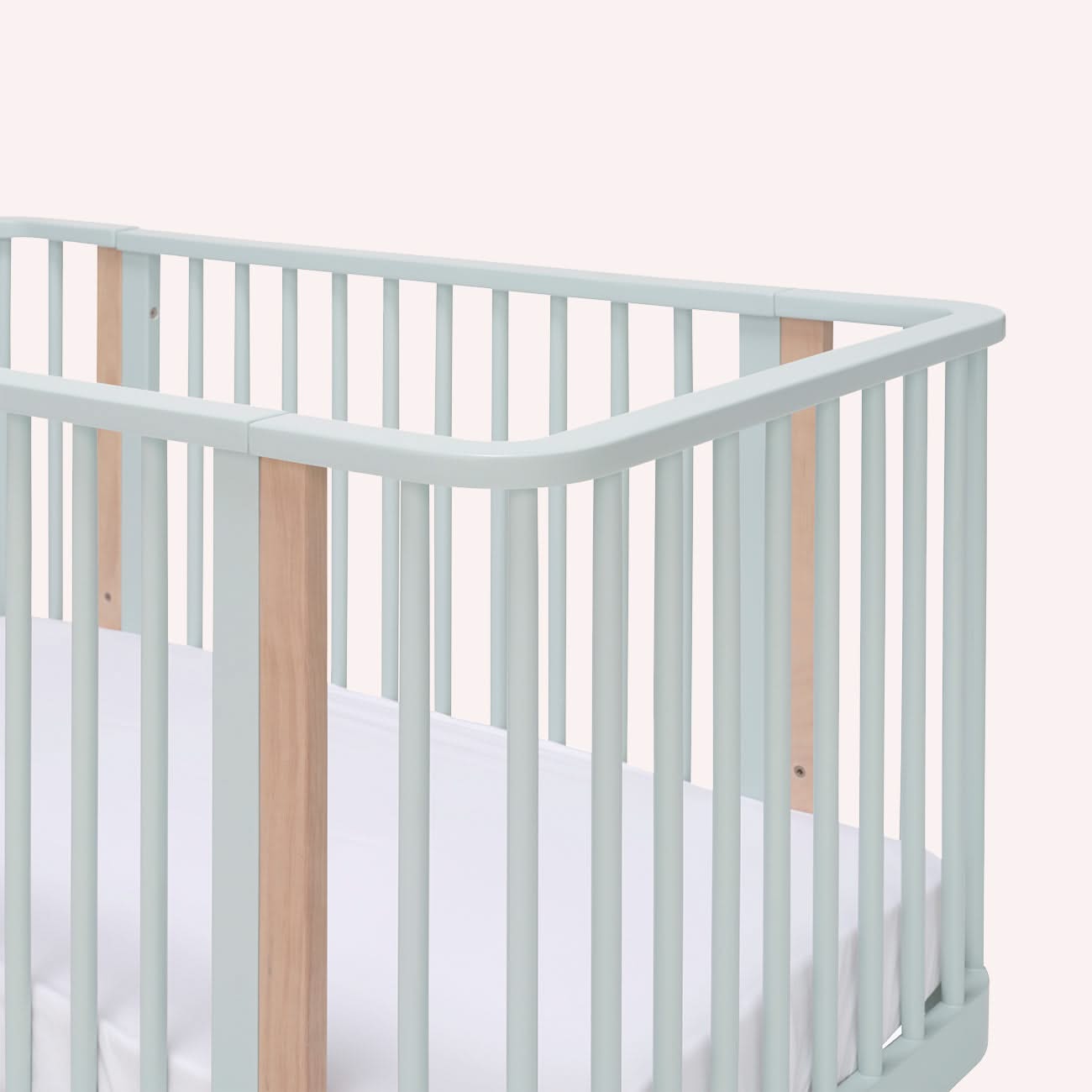 Seena Pisa Cot
