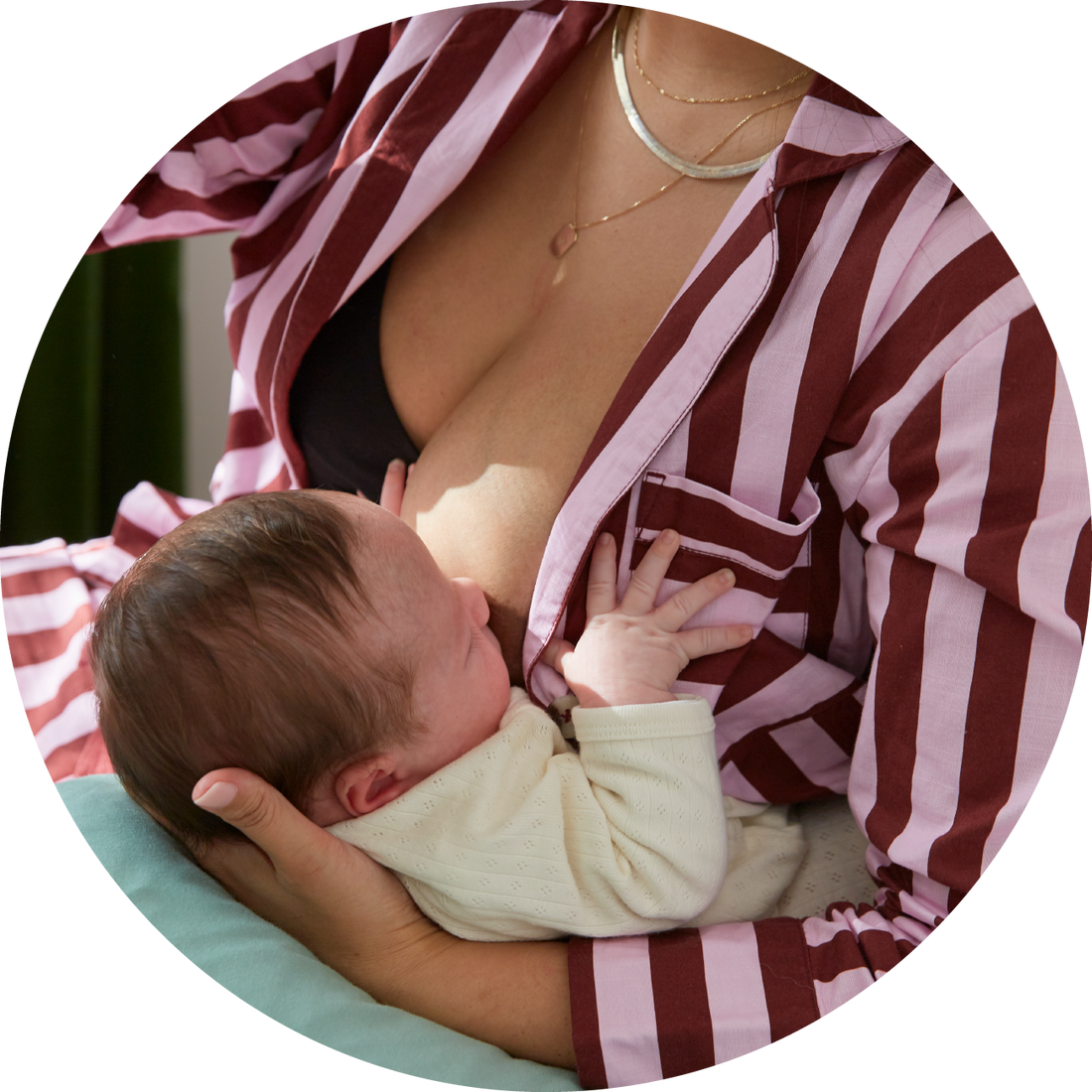 Explore The Breastfeeding Guide