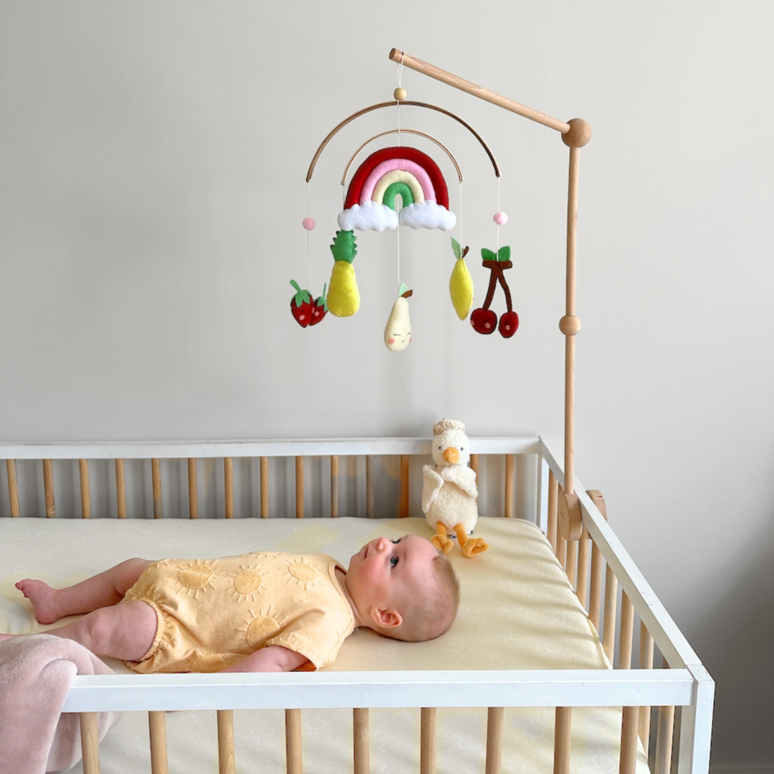 Baby Mobile - Tutti Fruity