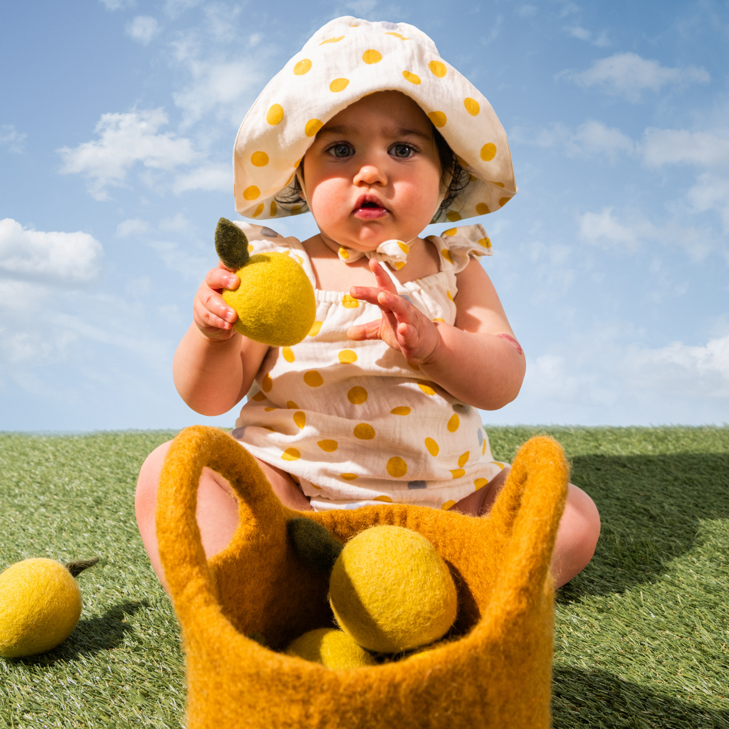 Toy Basket with Lemons (7pk)