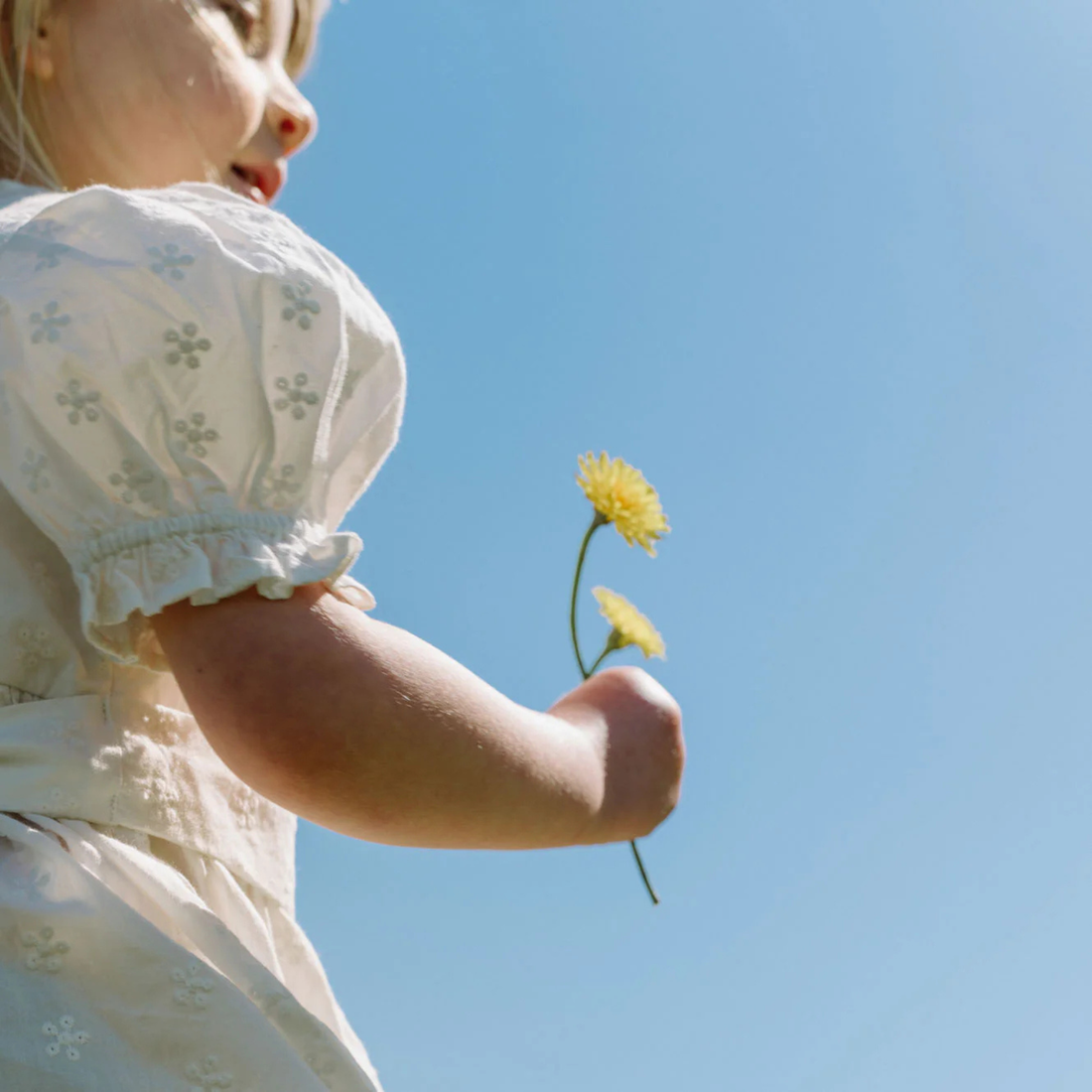 Annabelle Dress - Ivory Flora