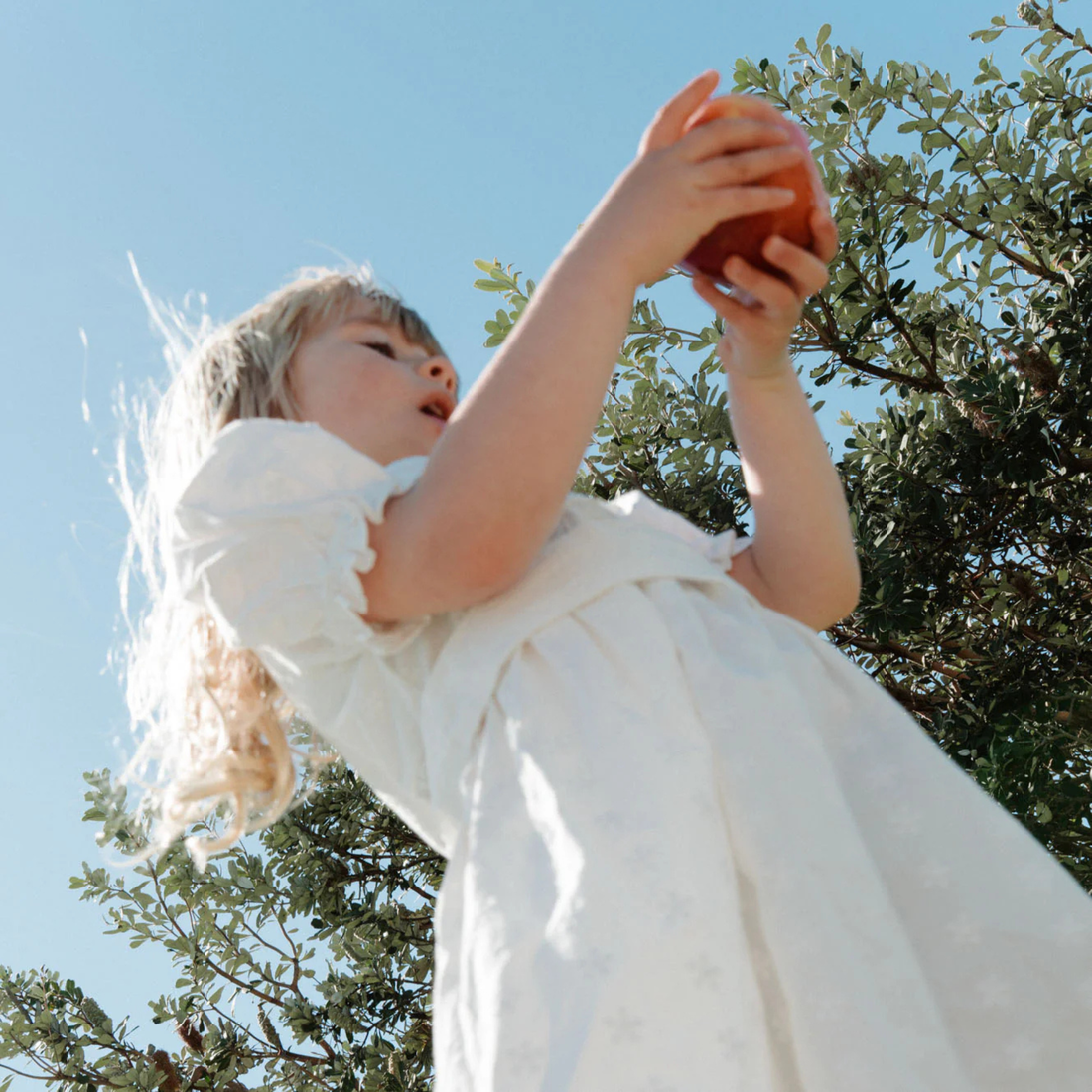Annabelle Dress - Ivory Flora