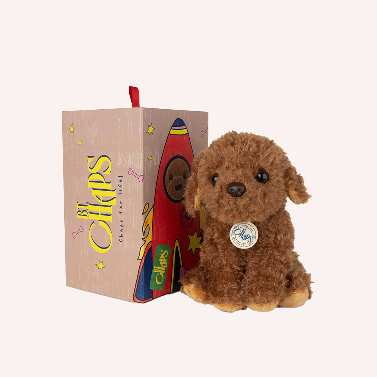 Stacy the Labradoodle in giftbox