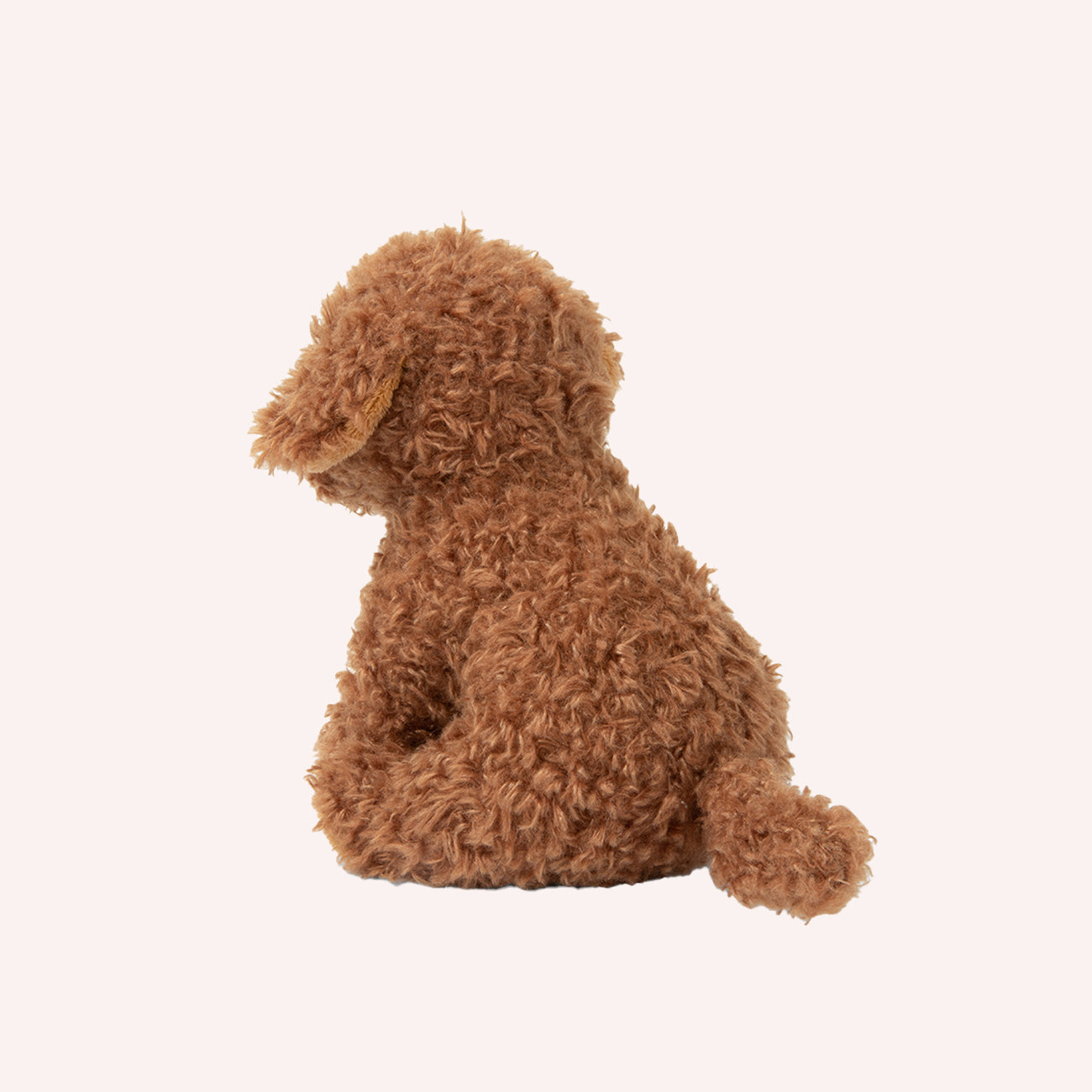 Stacy the Labradoodle in giftbox