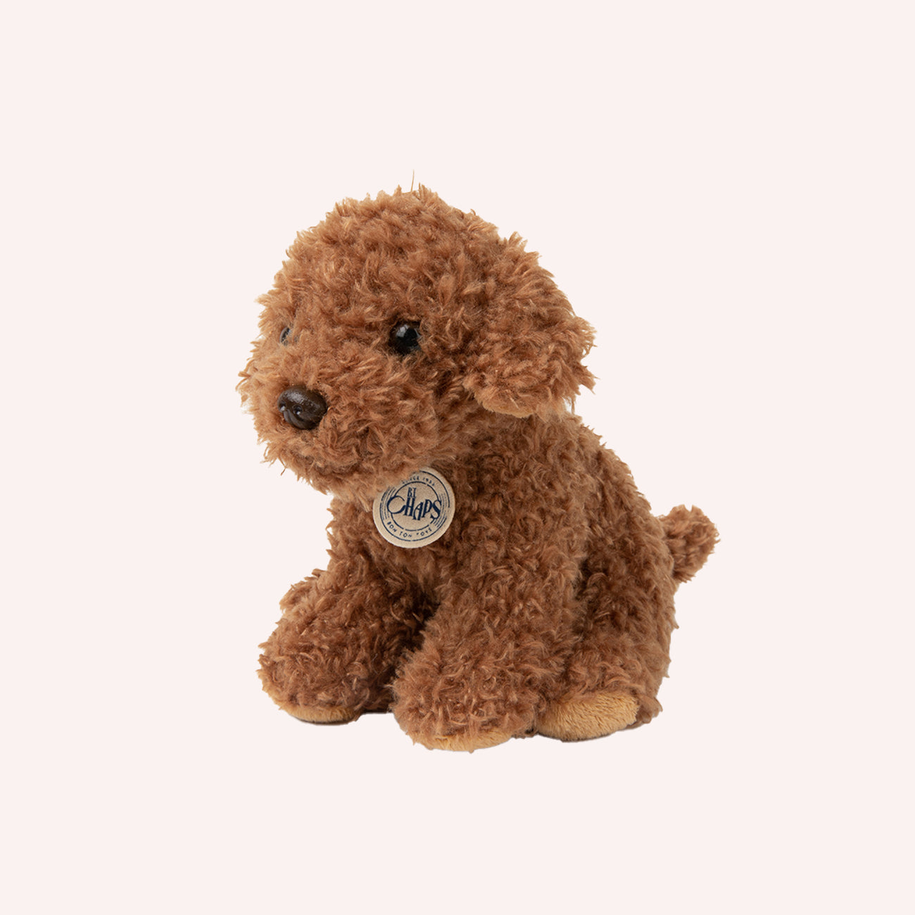 Stacy the Labradoodle in giftbox