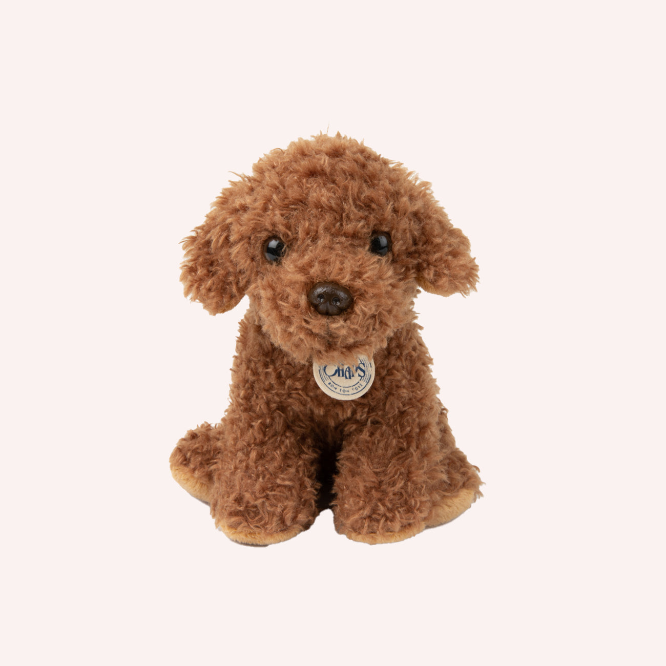 Stacy the Labradoodle in giftbox