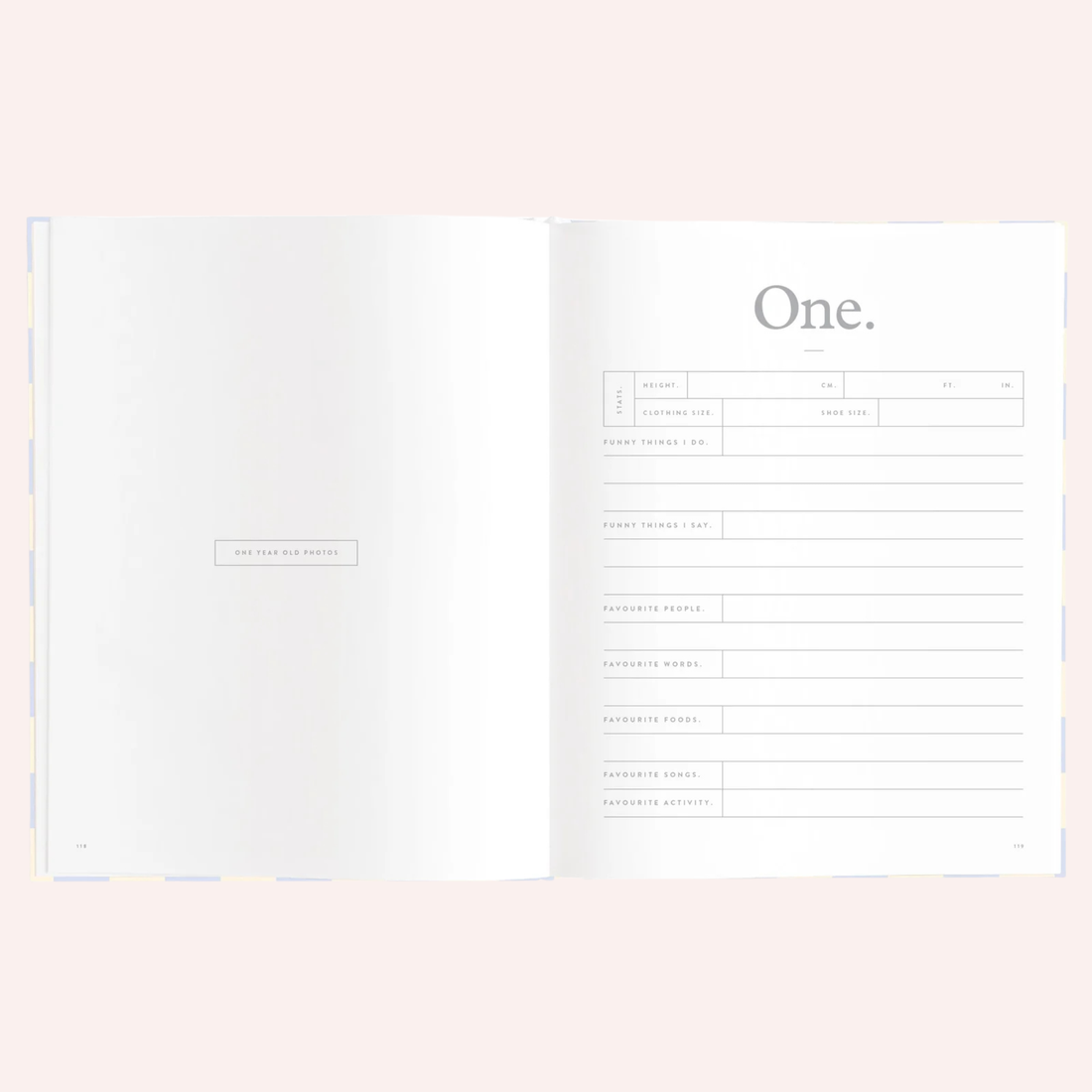 Baby Book - Blue Check