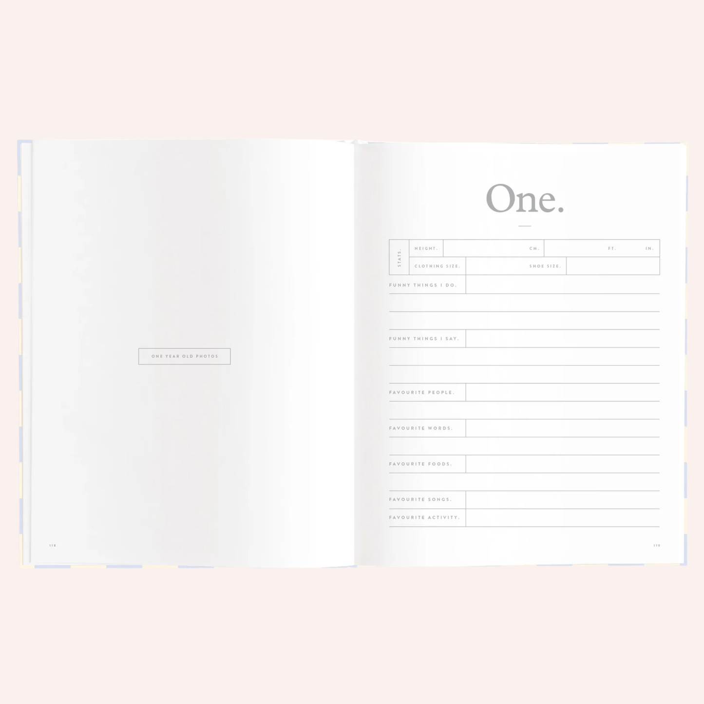 Baby Book - Blue Check