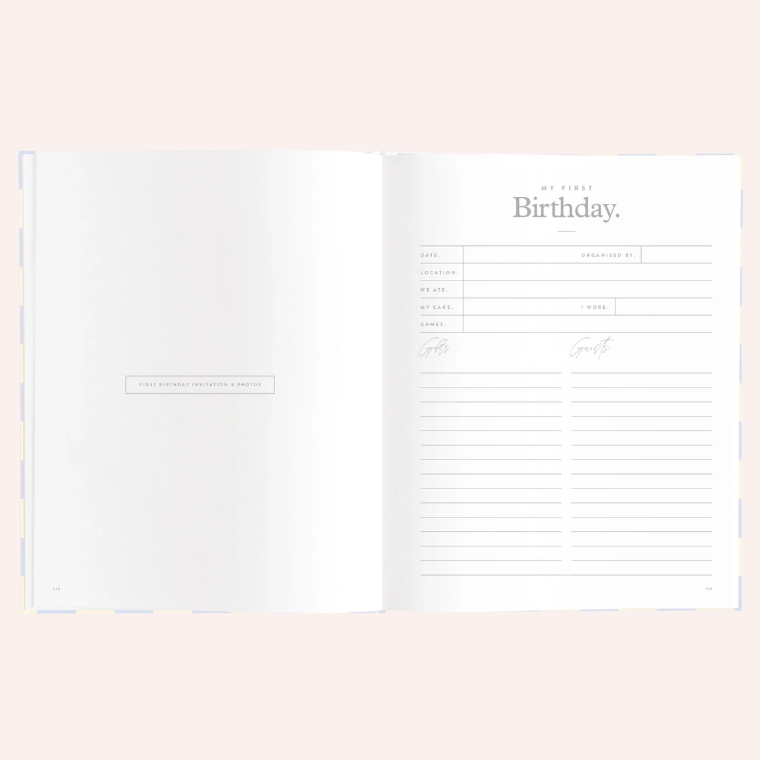 Baby Book - Blue Check