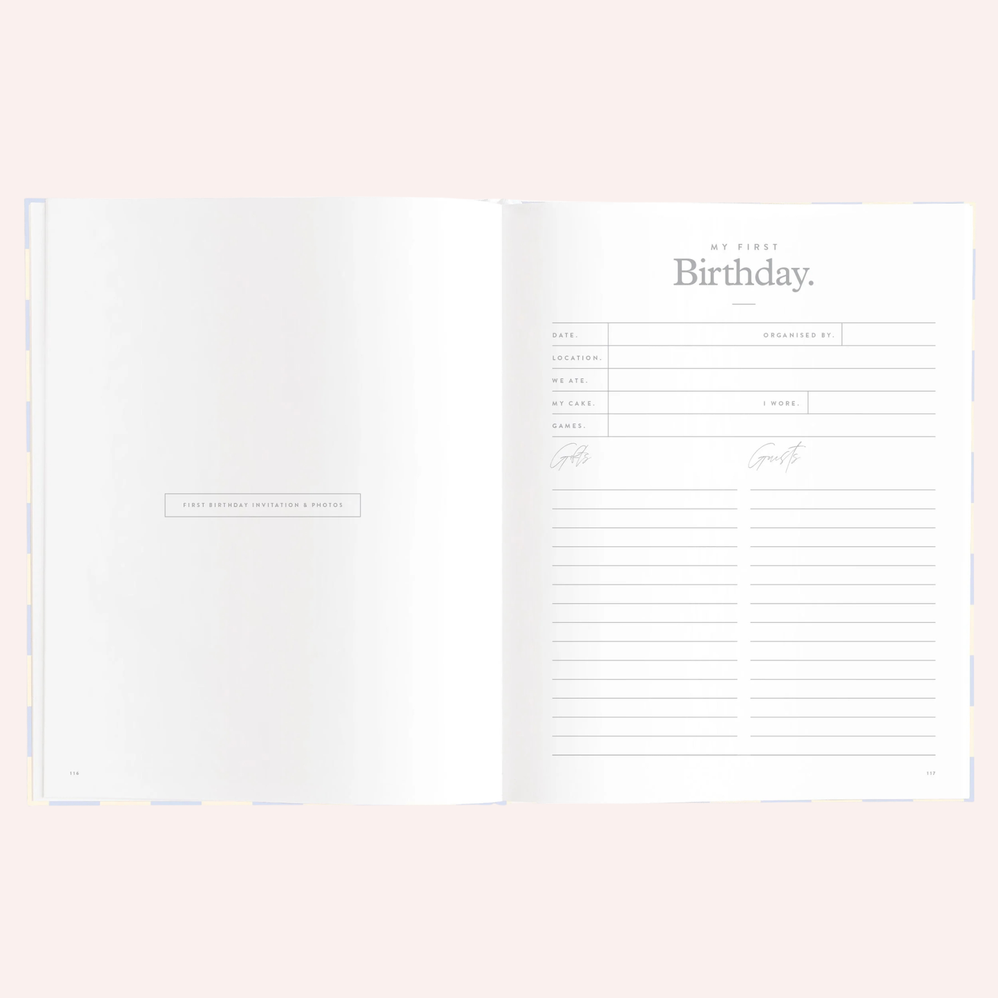 Baby Book - Blue Check