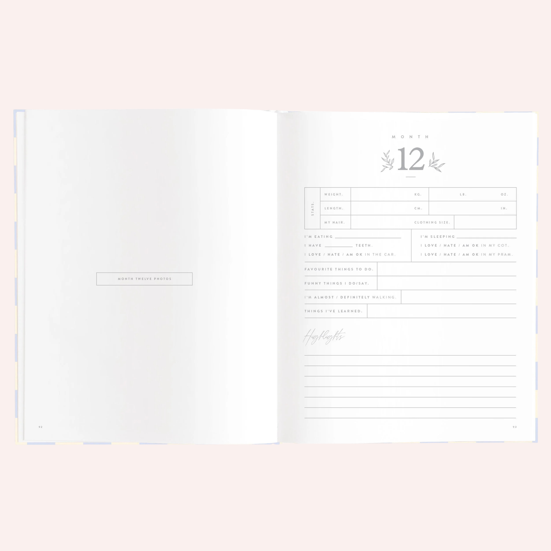 Baby Book - Blue Check