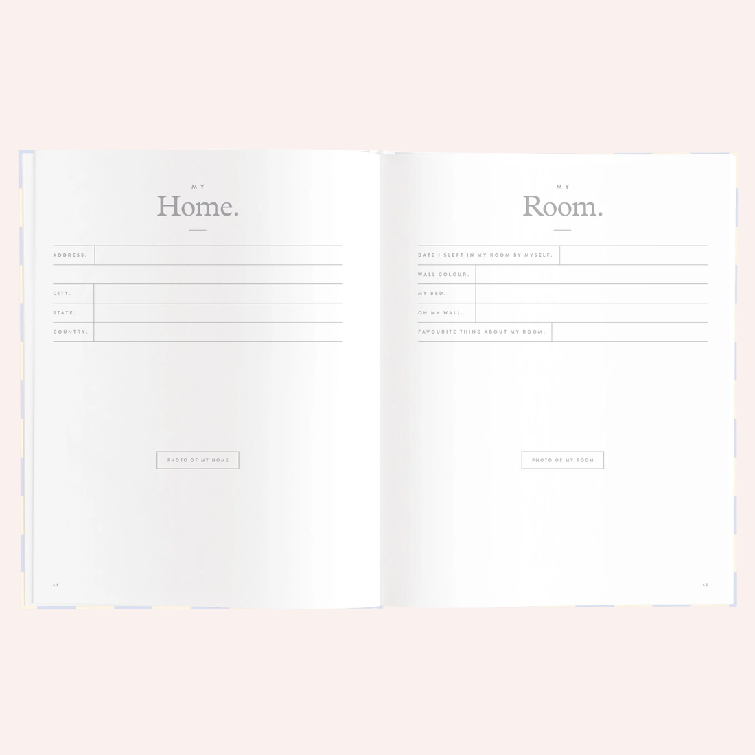 Baby Book - Blue Check