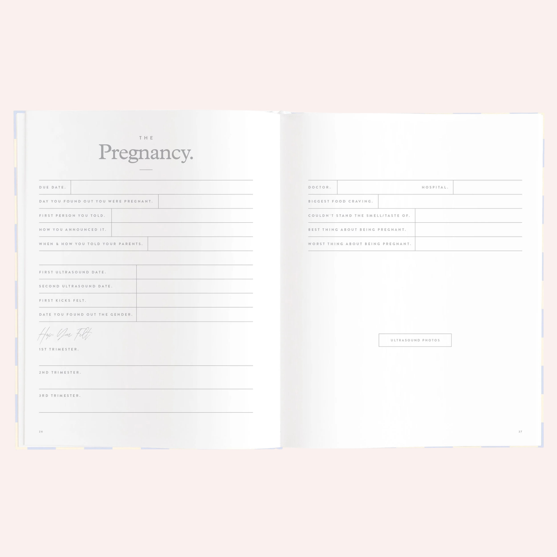Baby Book - Blue Check