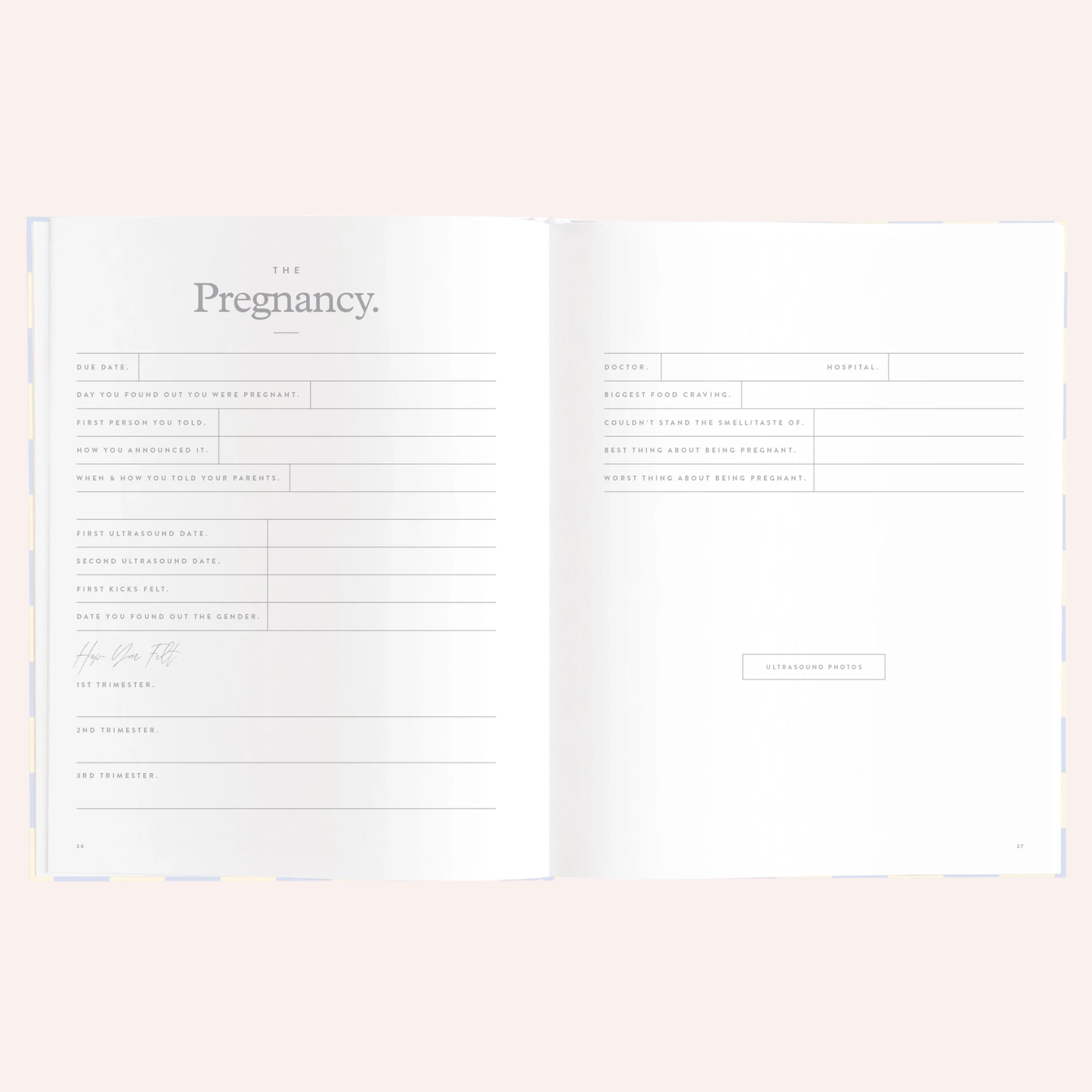 Baby Book - Blue Check