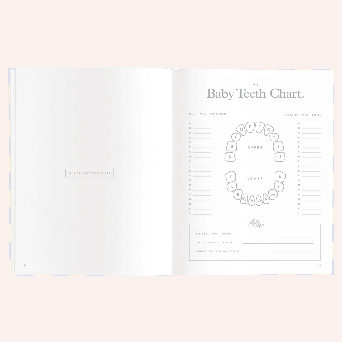 Baby Book - Blue Check