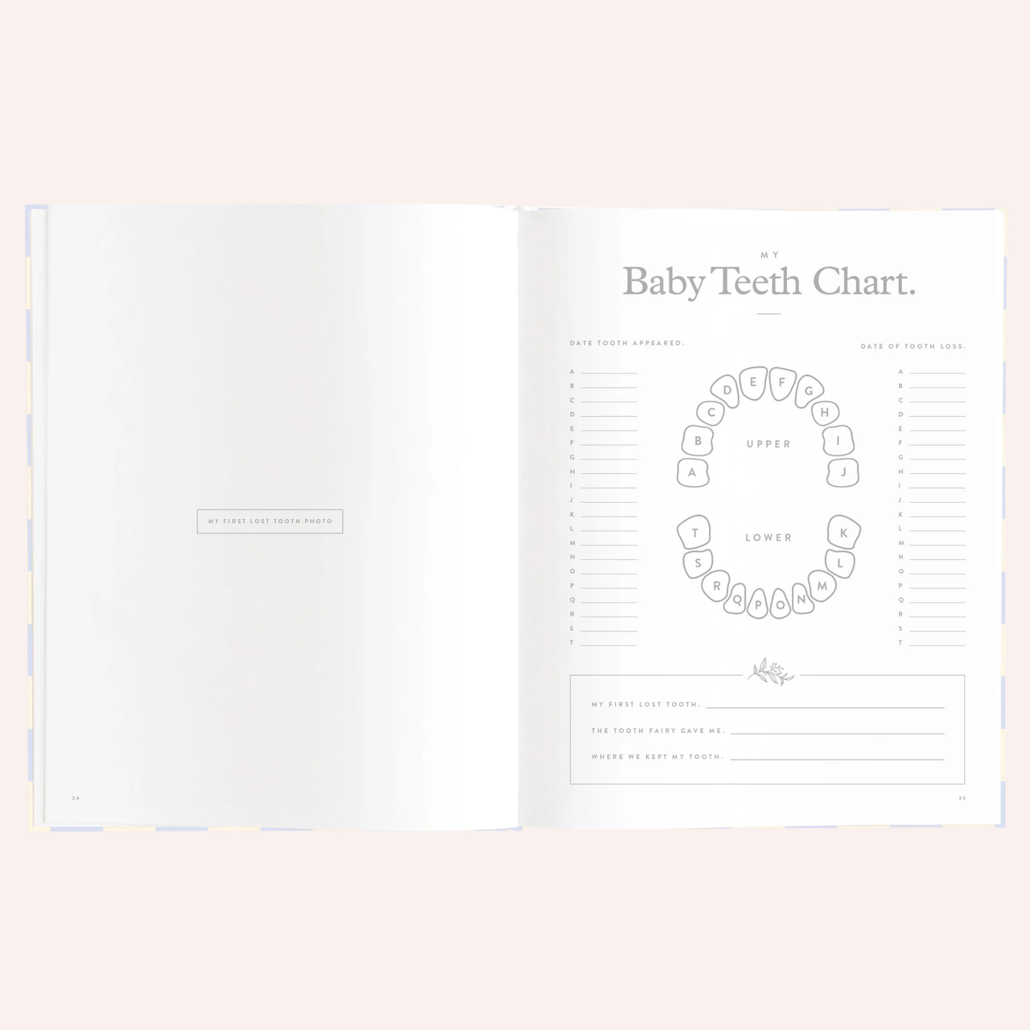 Baby Book - Blue Check