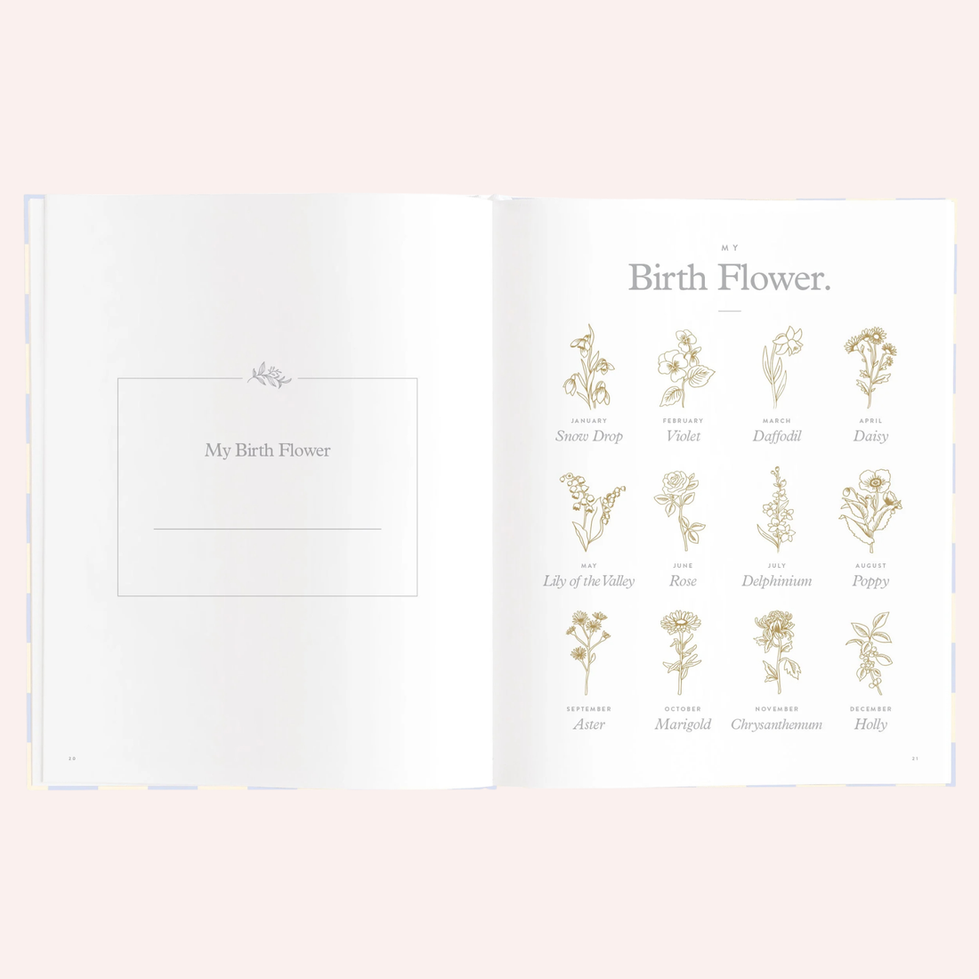 Baby Book - Blue Check