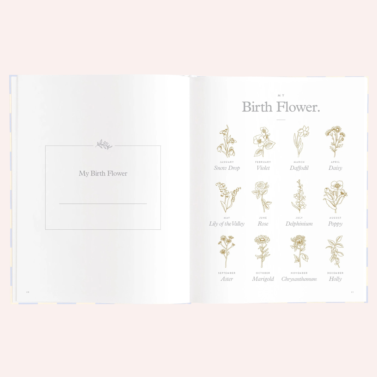 Baby Book - Blue Check