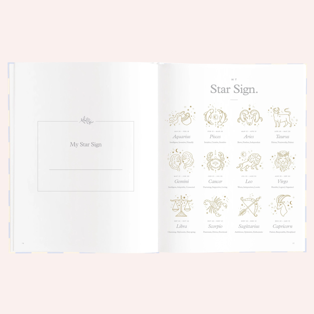 Baby Book - Blue Check