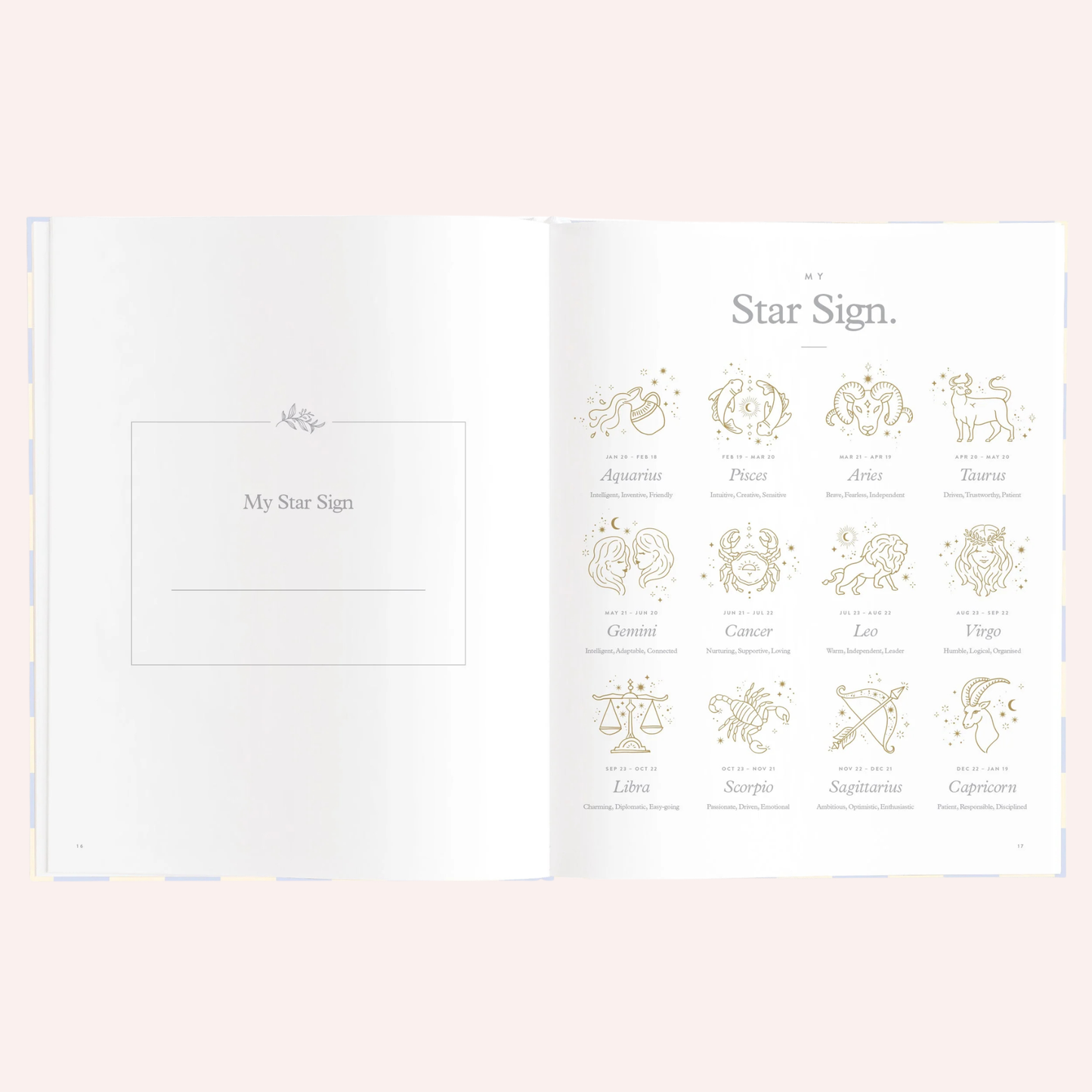 Baby Book - Blue Check