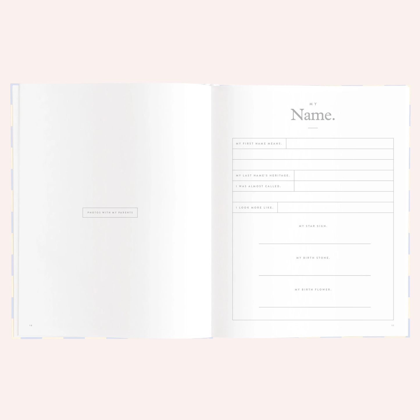 Baby Book - Blue Check