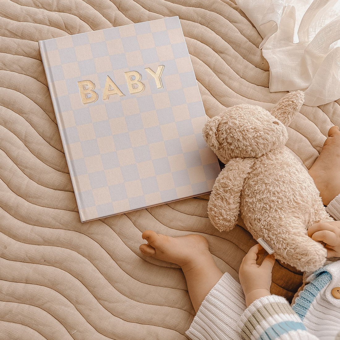 Baby Book - Blue Check