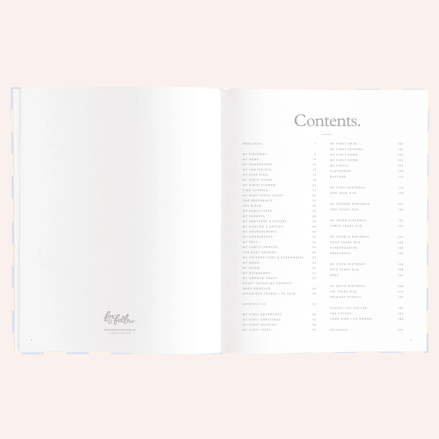 Baby Book - Blue Check