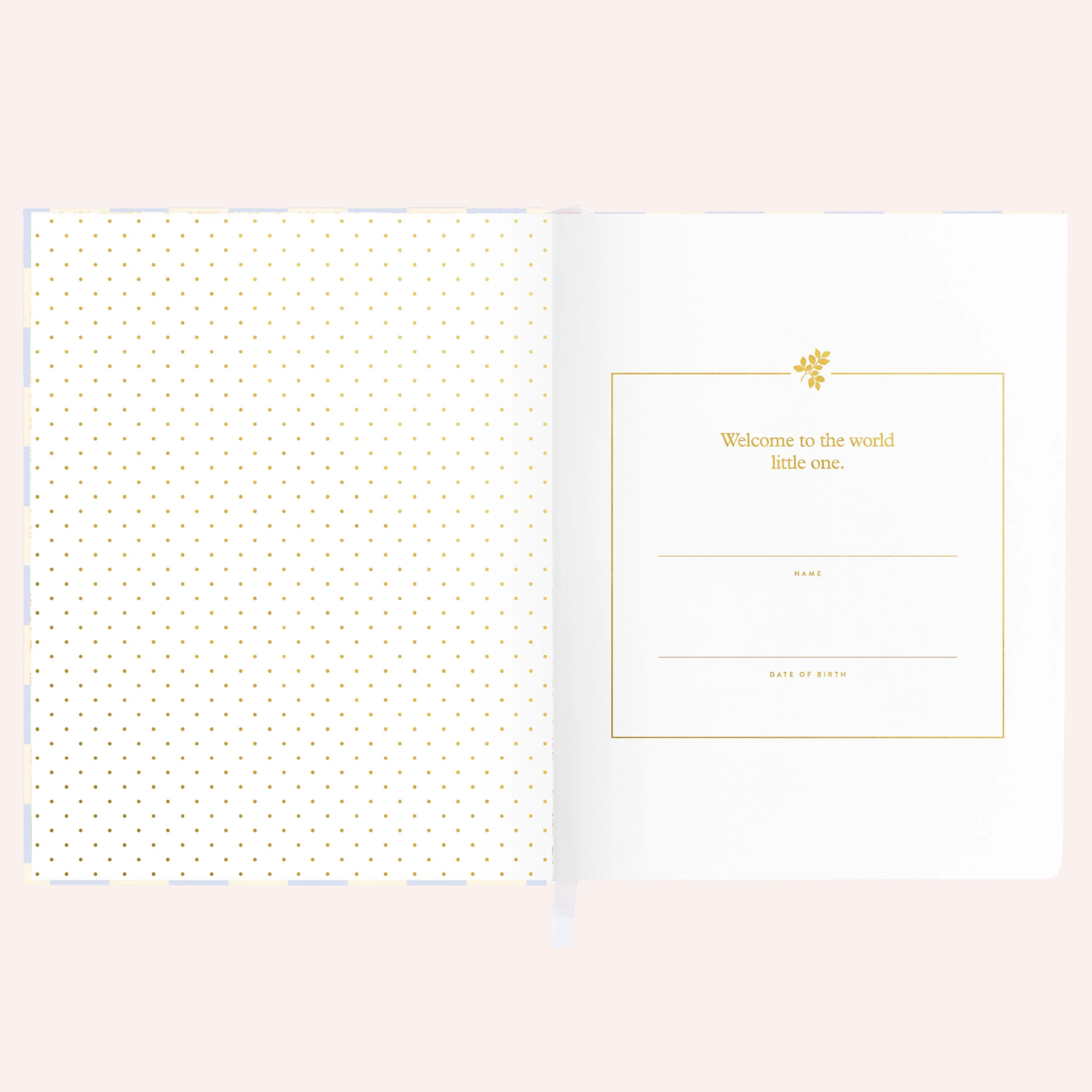 Baby Book - Blue Check