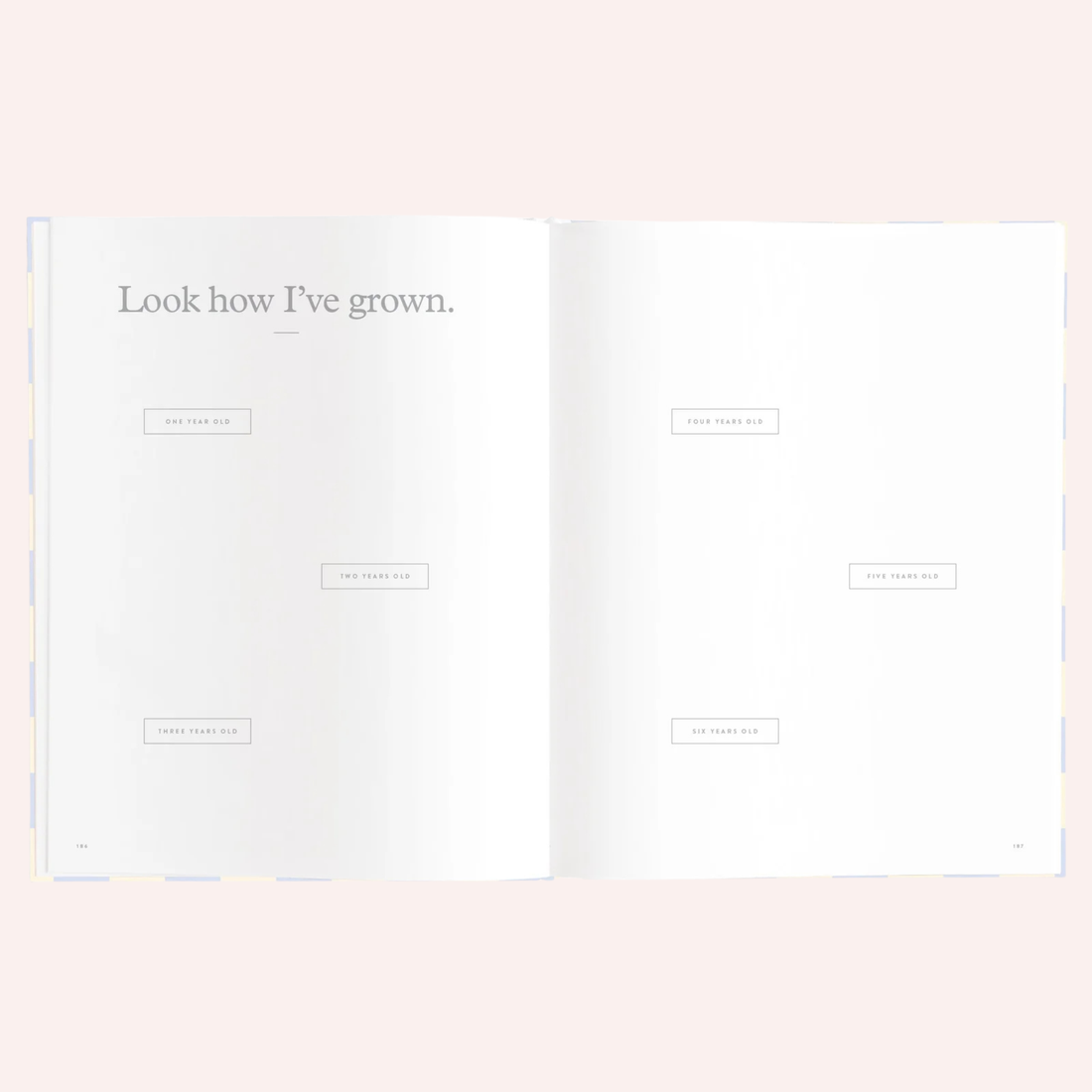 Baby Book - Blue Check