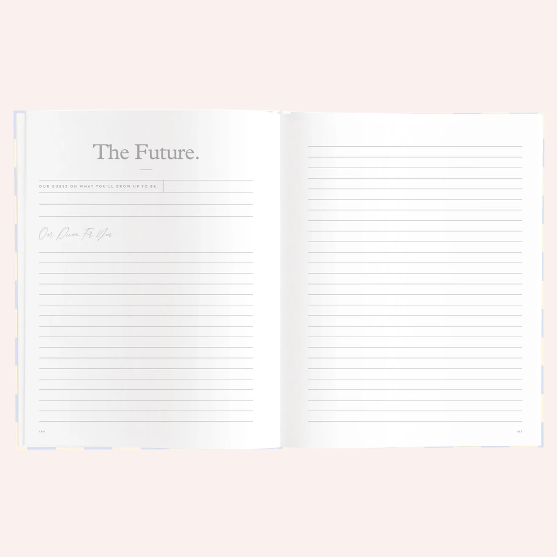 Baby Book - Blue Check