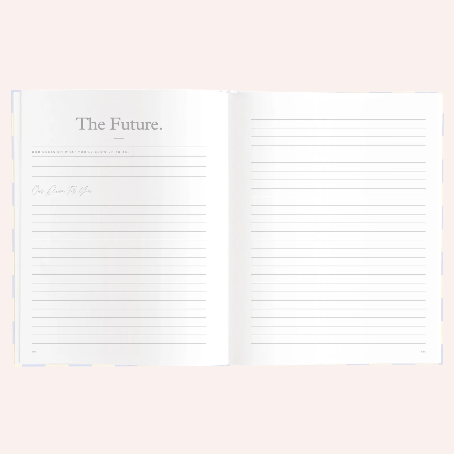 Baby Book - Blue Check