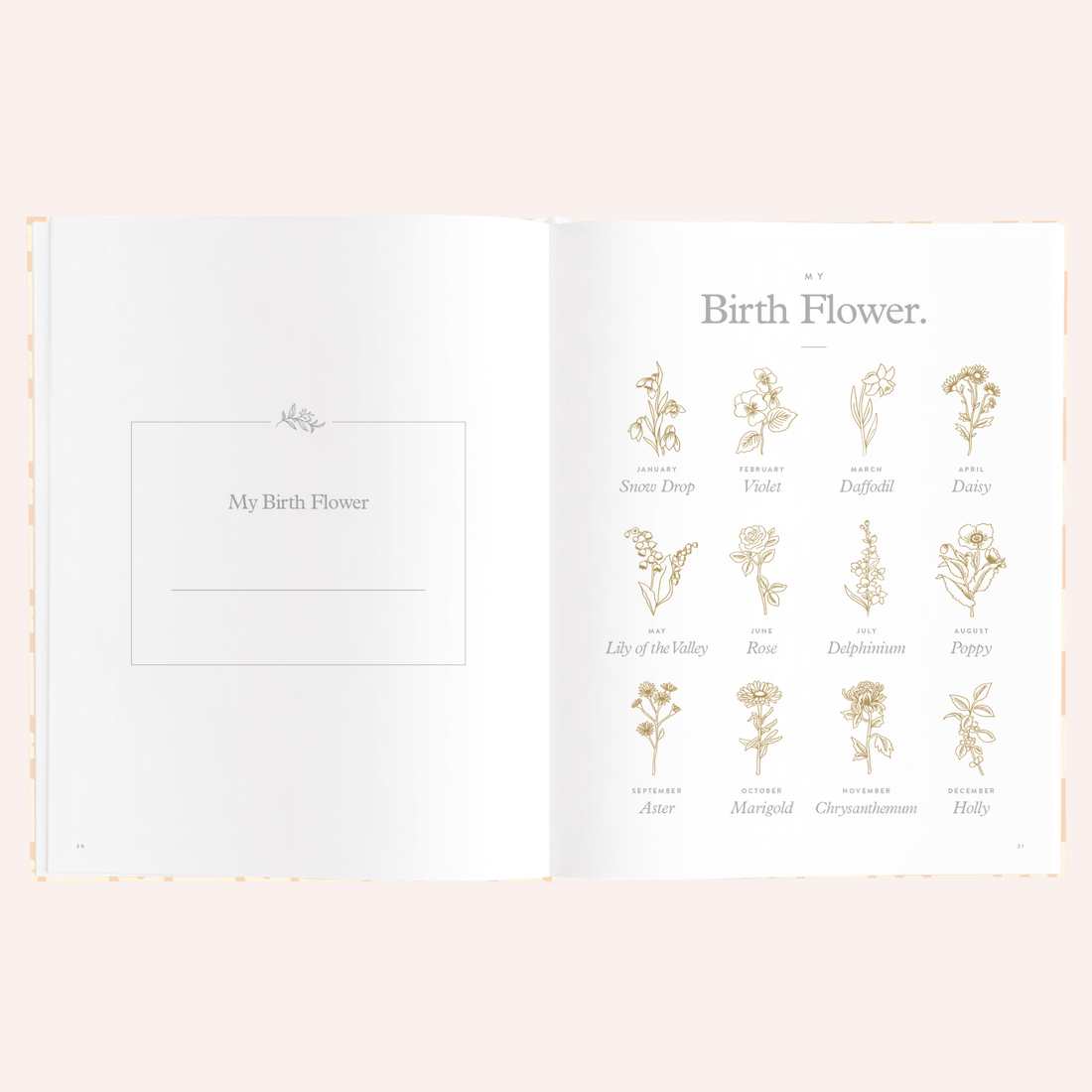 Baby Book - Daisy Grid