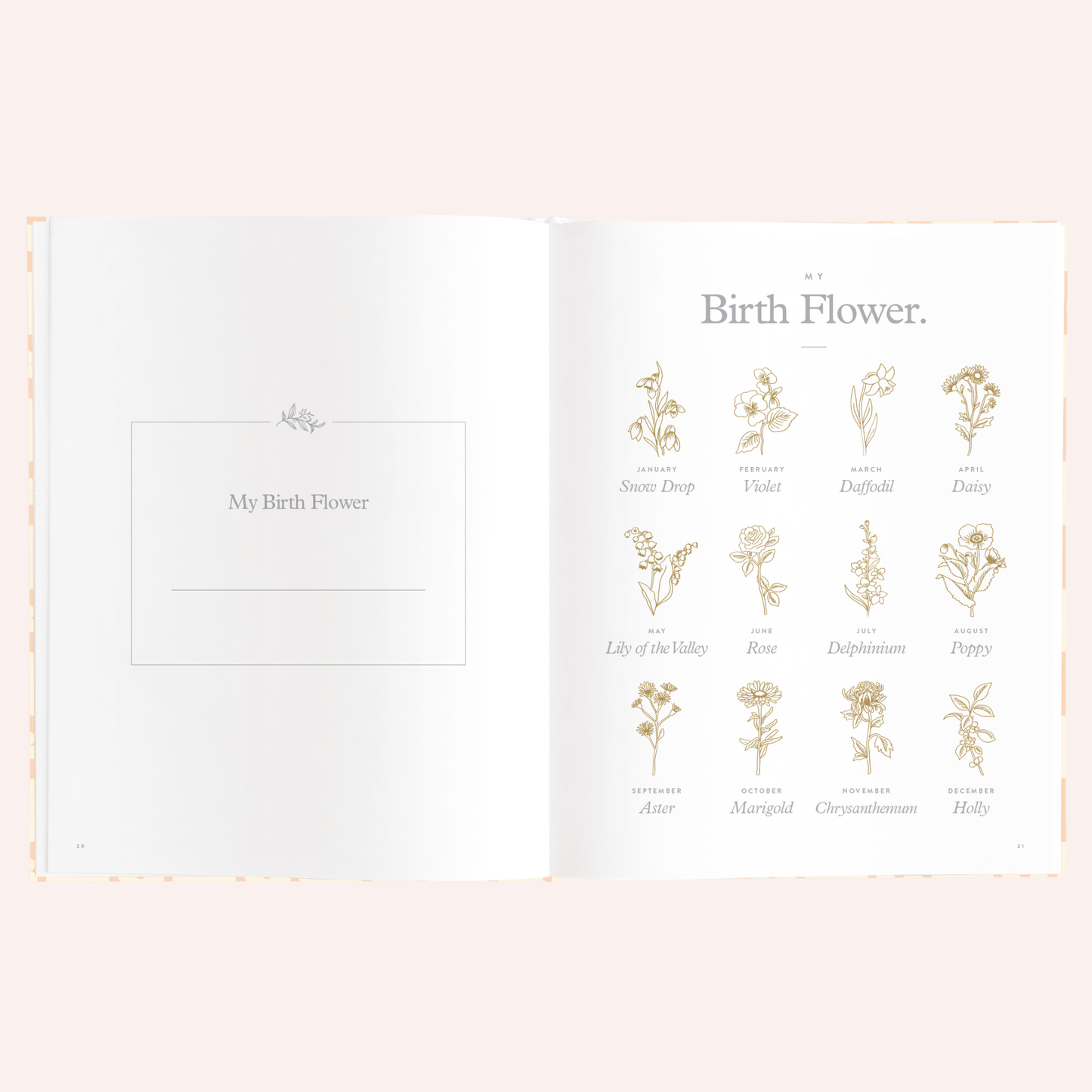 Baby Book - Daisy Grid