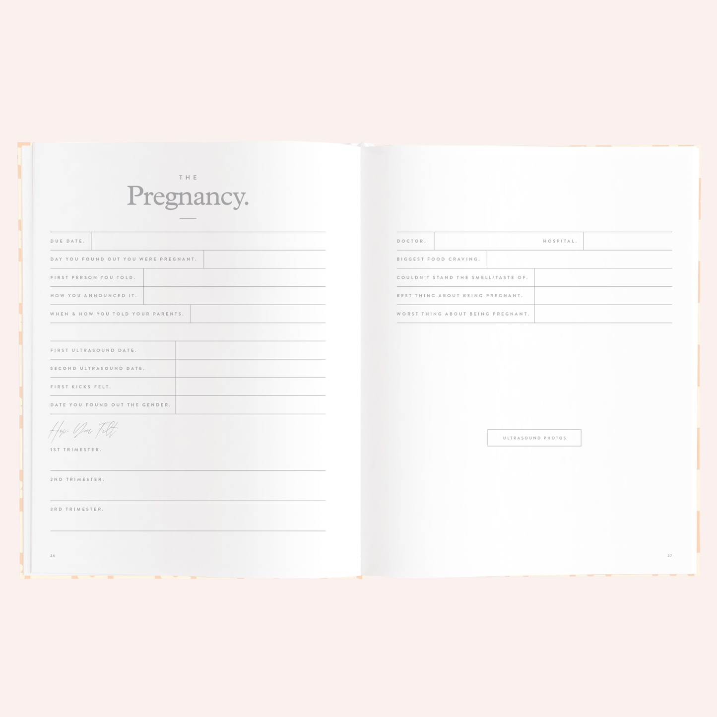 Baby Book - Daisy Grid