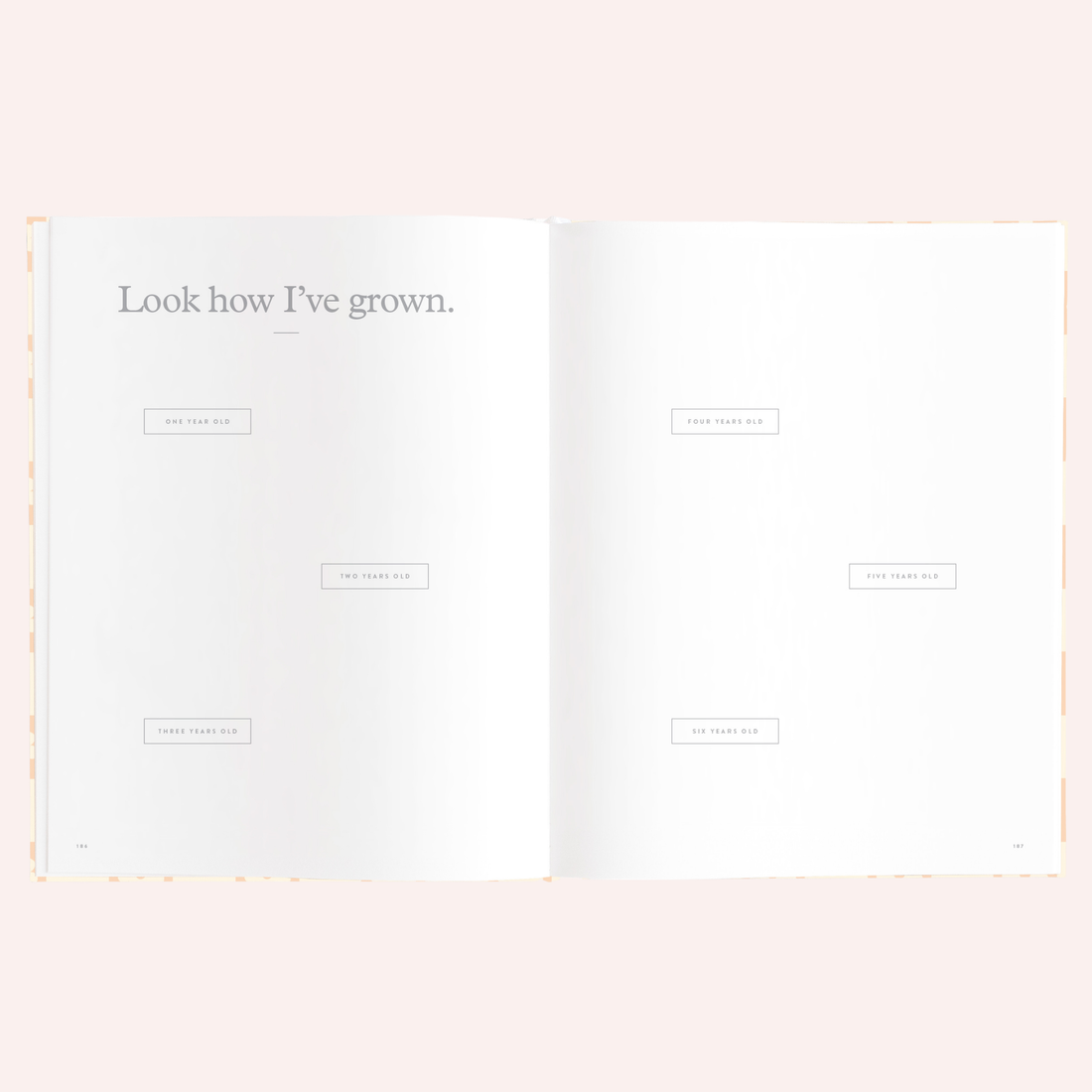 Baby Book - Daisy Grid