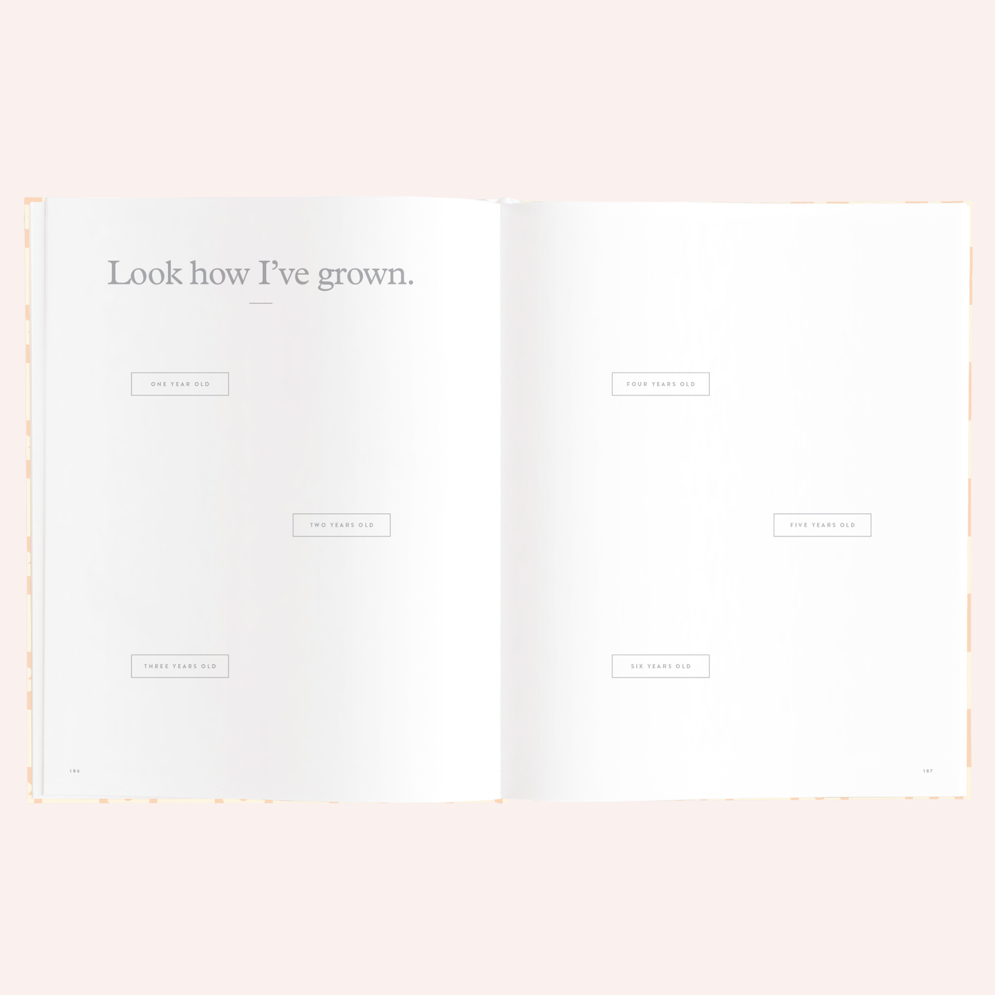Baby Book - Daisy Grid