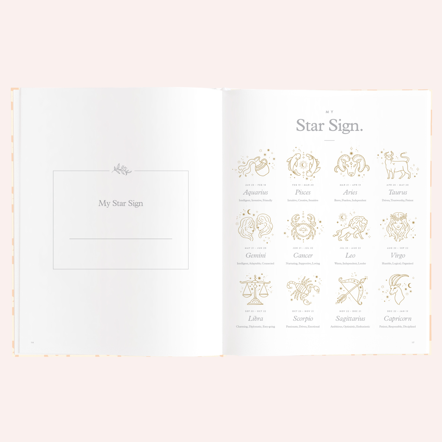 Baby Book - Daisy Grid