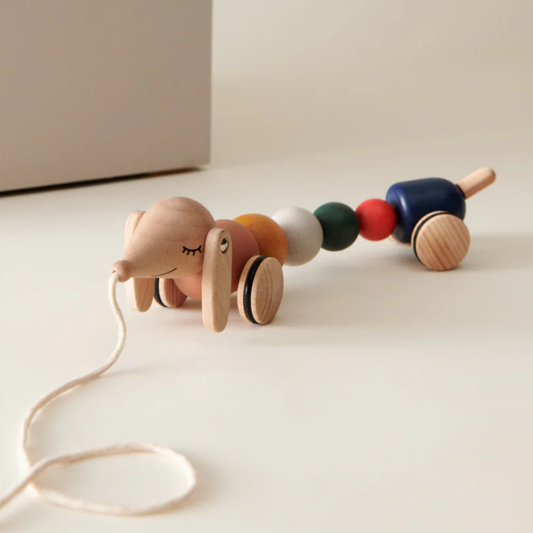 Barthes Pull Along Toy - Golden Caramel Multi Mix