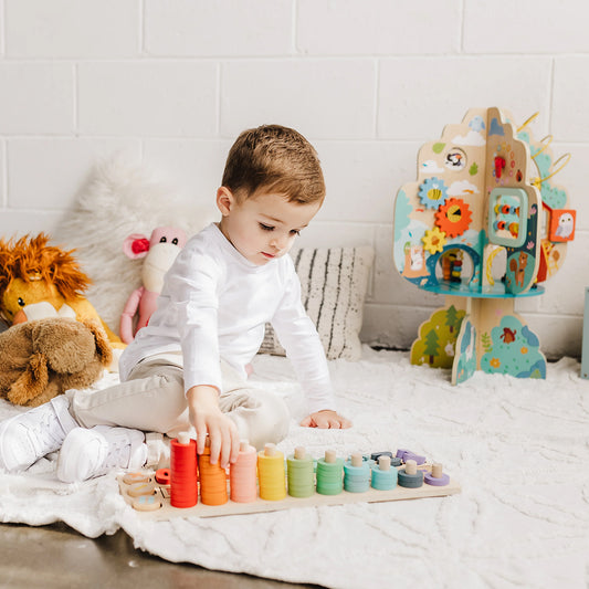 Wooden Numbers & Blocks Counting Set