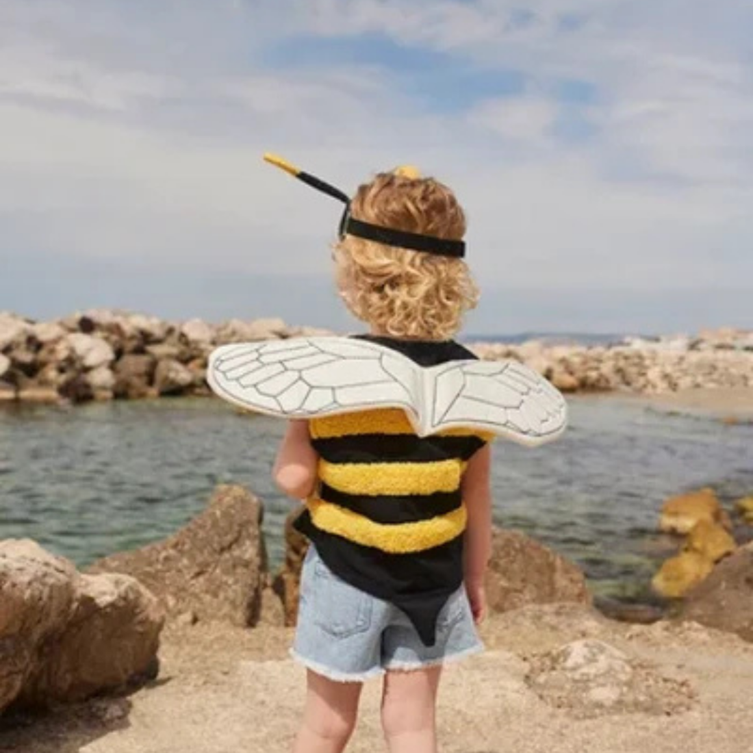 Bumblebee Dress Up
