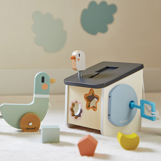 Cocoon Bird House Shape Sorter