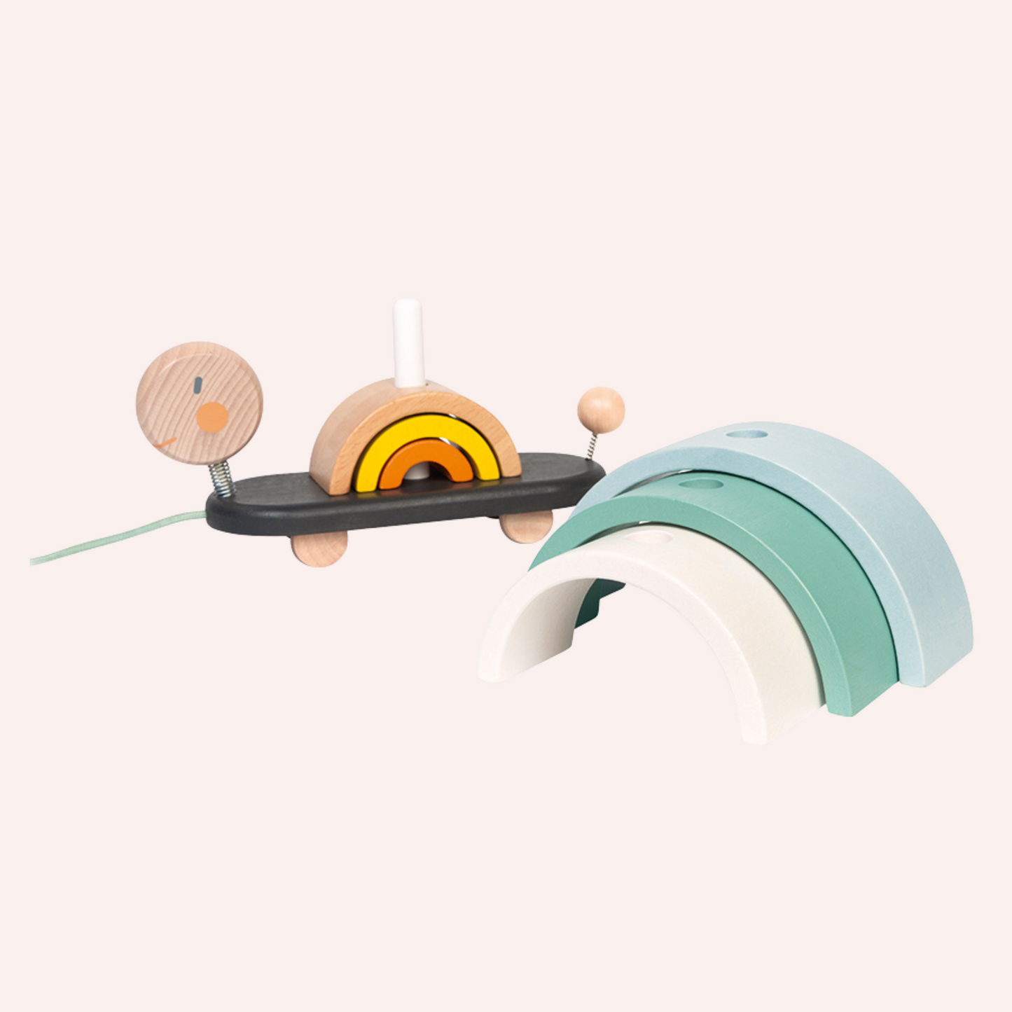 Cocoon Rainbow Turtle