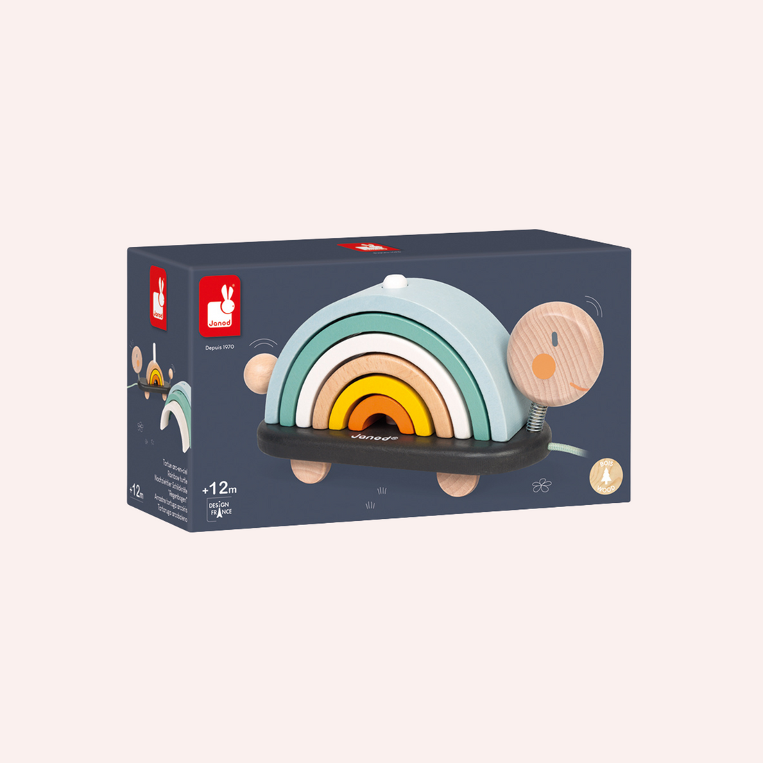 Cocoon Rainbow Turtle