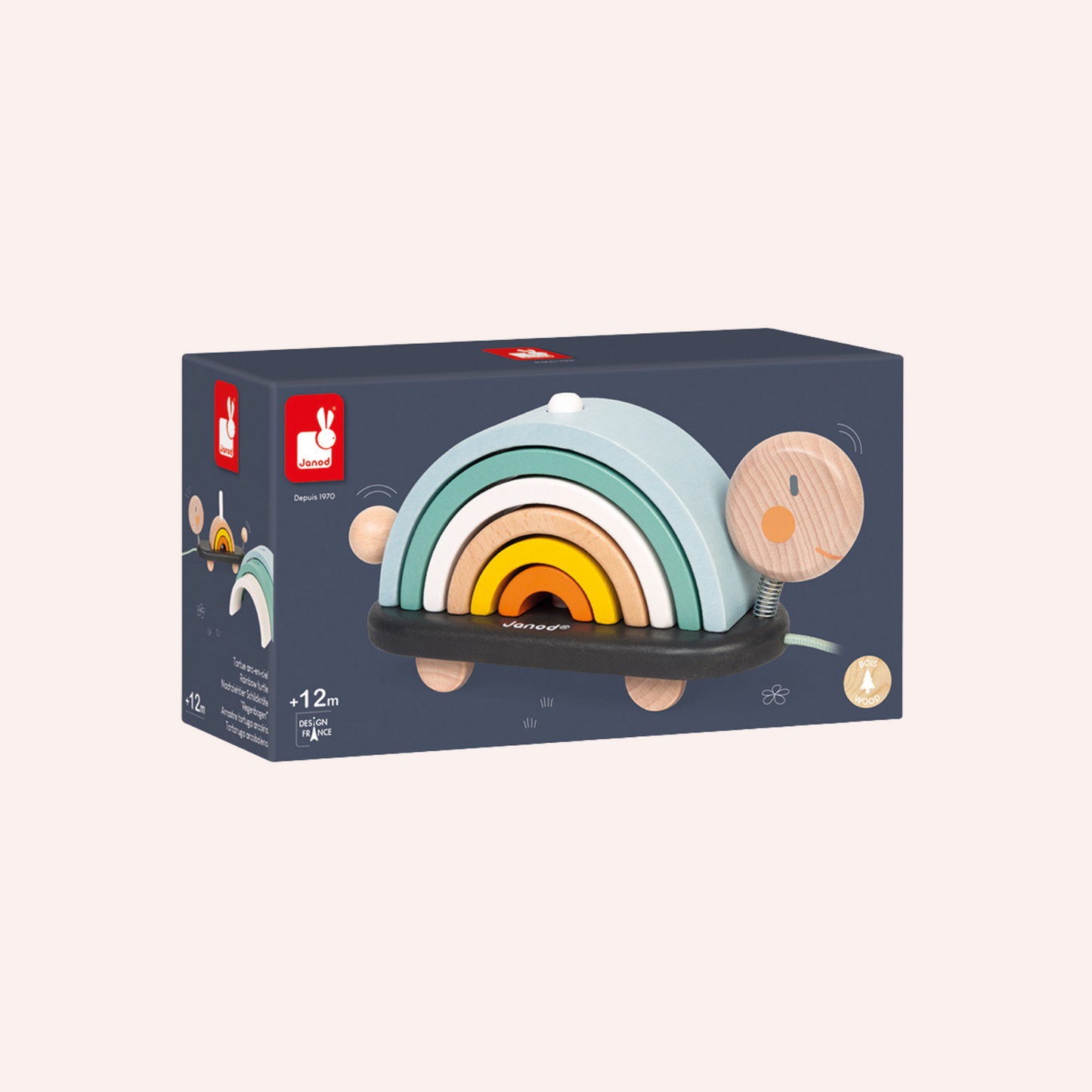 Cocoon Rainbow Turtle