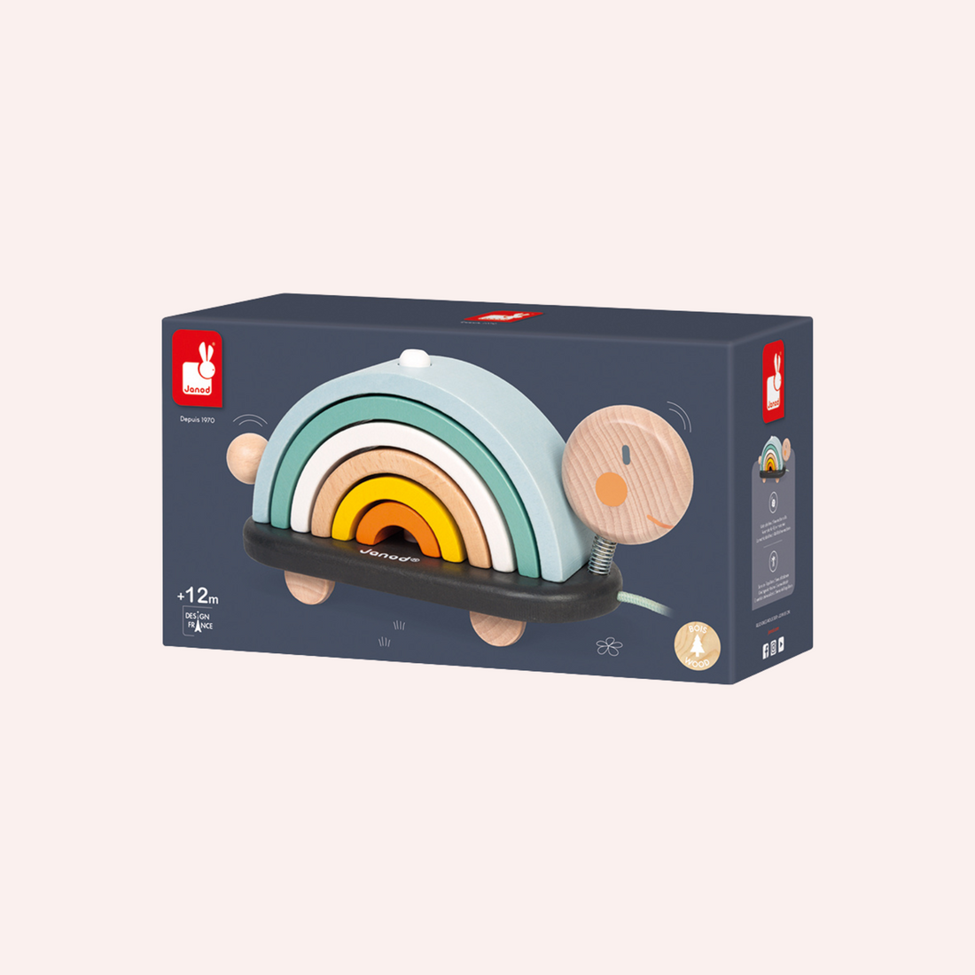 Cocoon Rainbow Turtle